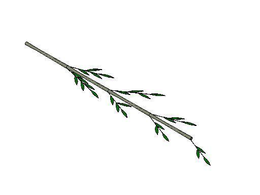 Bamboo Branch