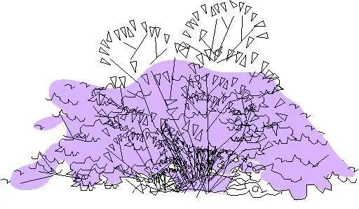 Trees - 2d Shrubs