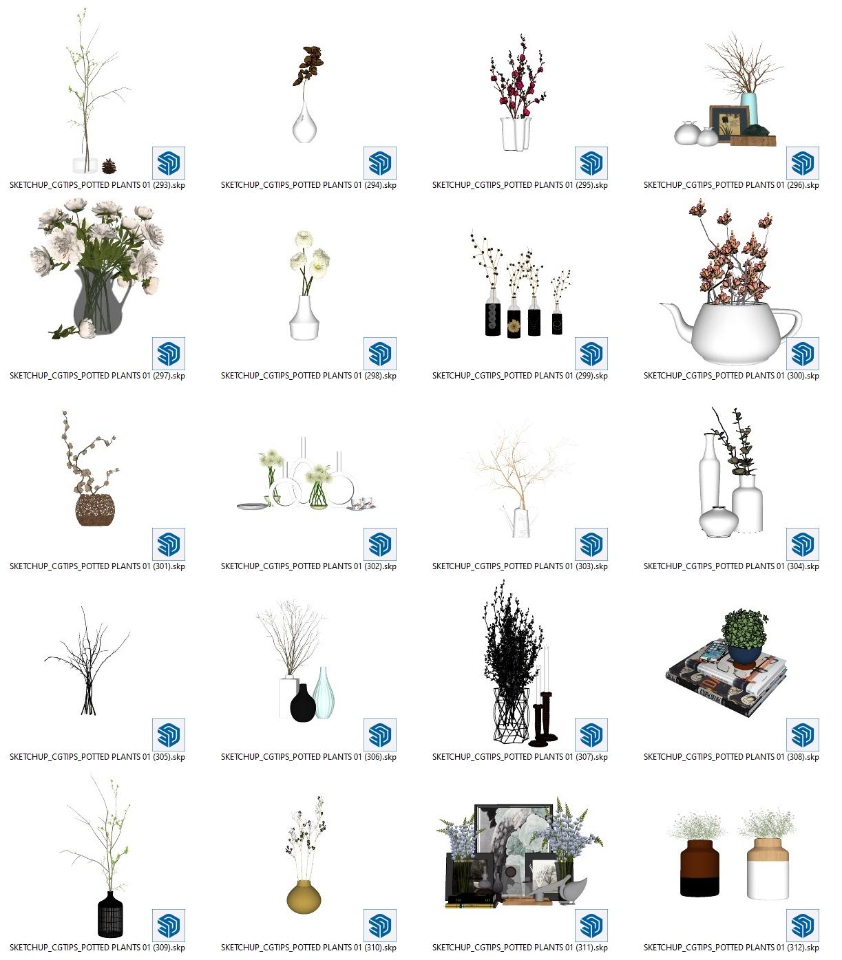 Potted Plants