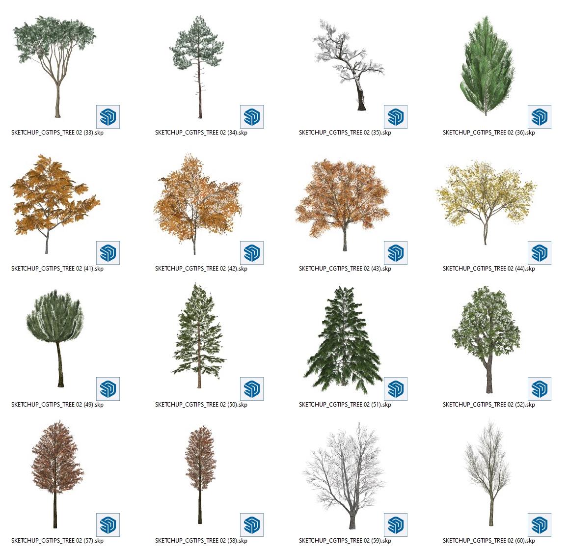 Trees