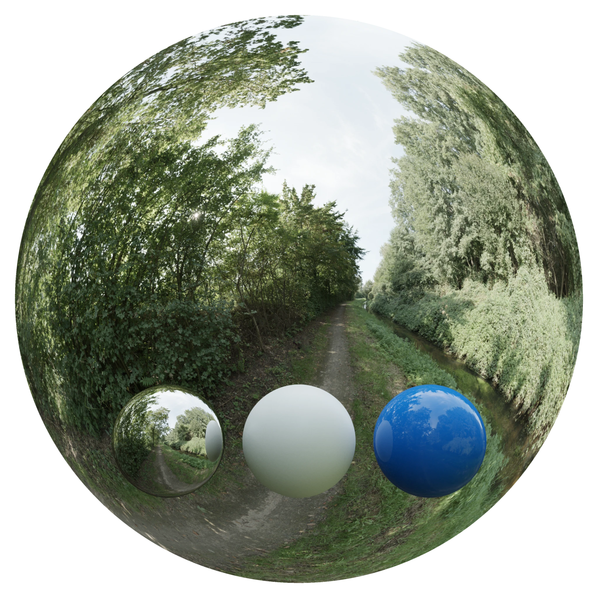 Day Environment HDRI 036