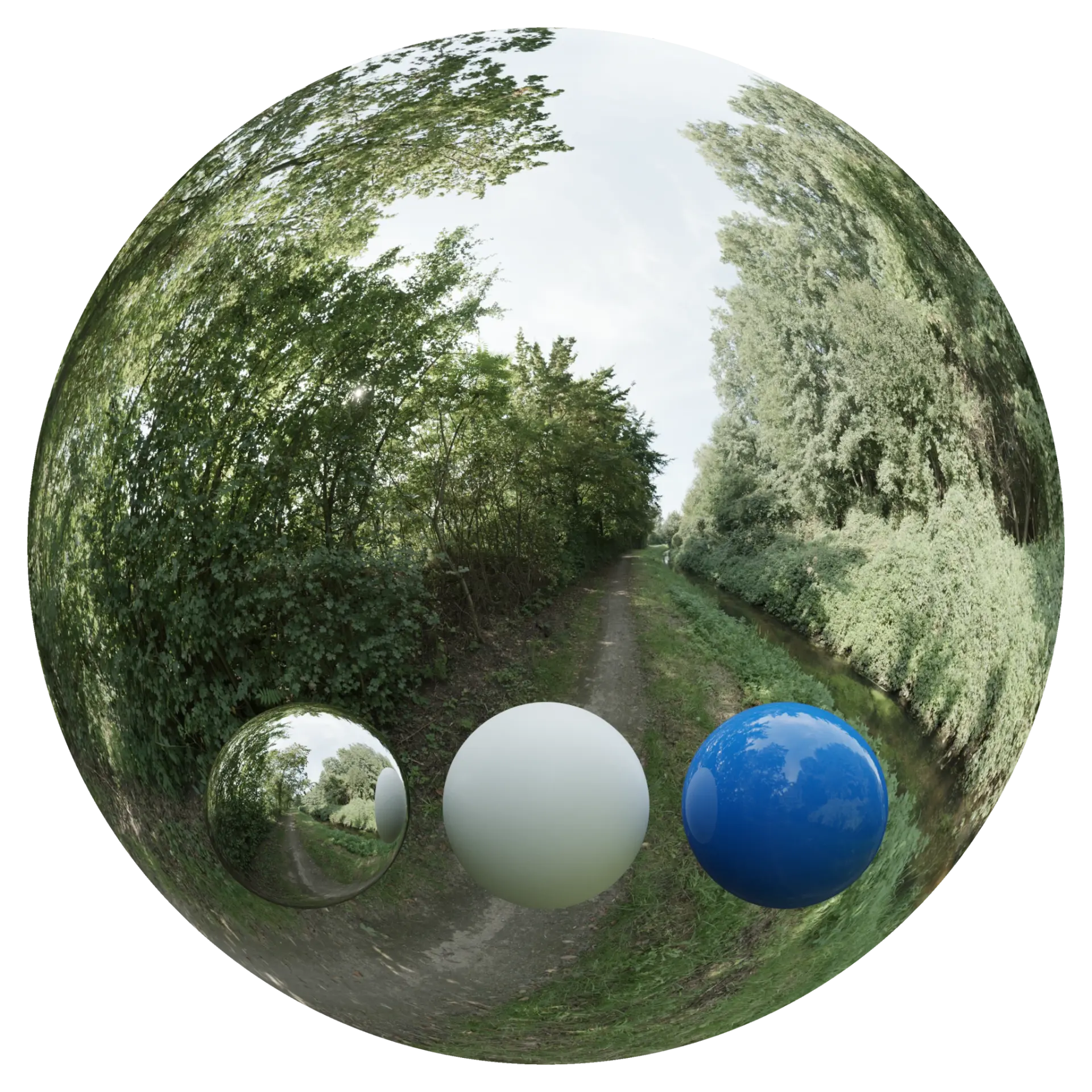 Day Environment HDRI 036