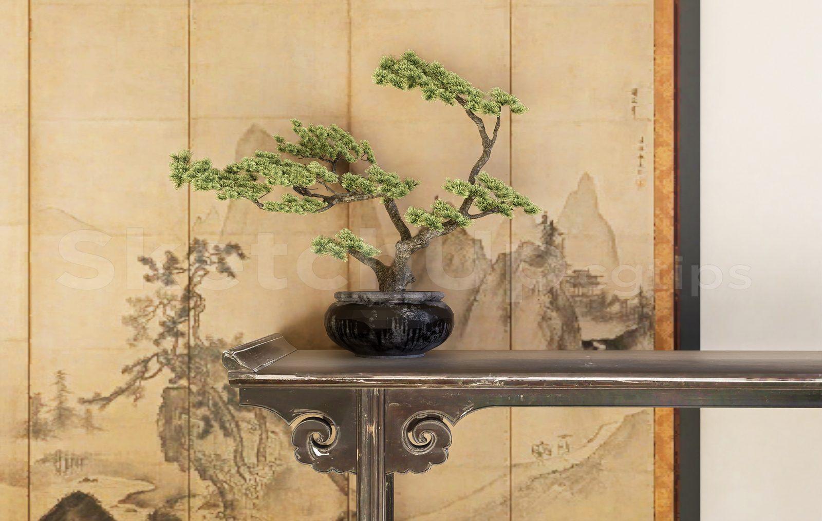 BonSai Tree
