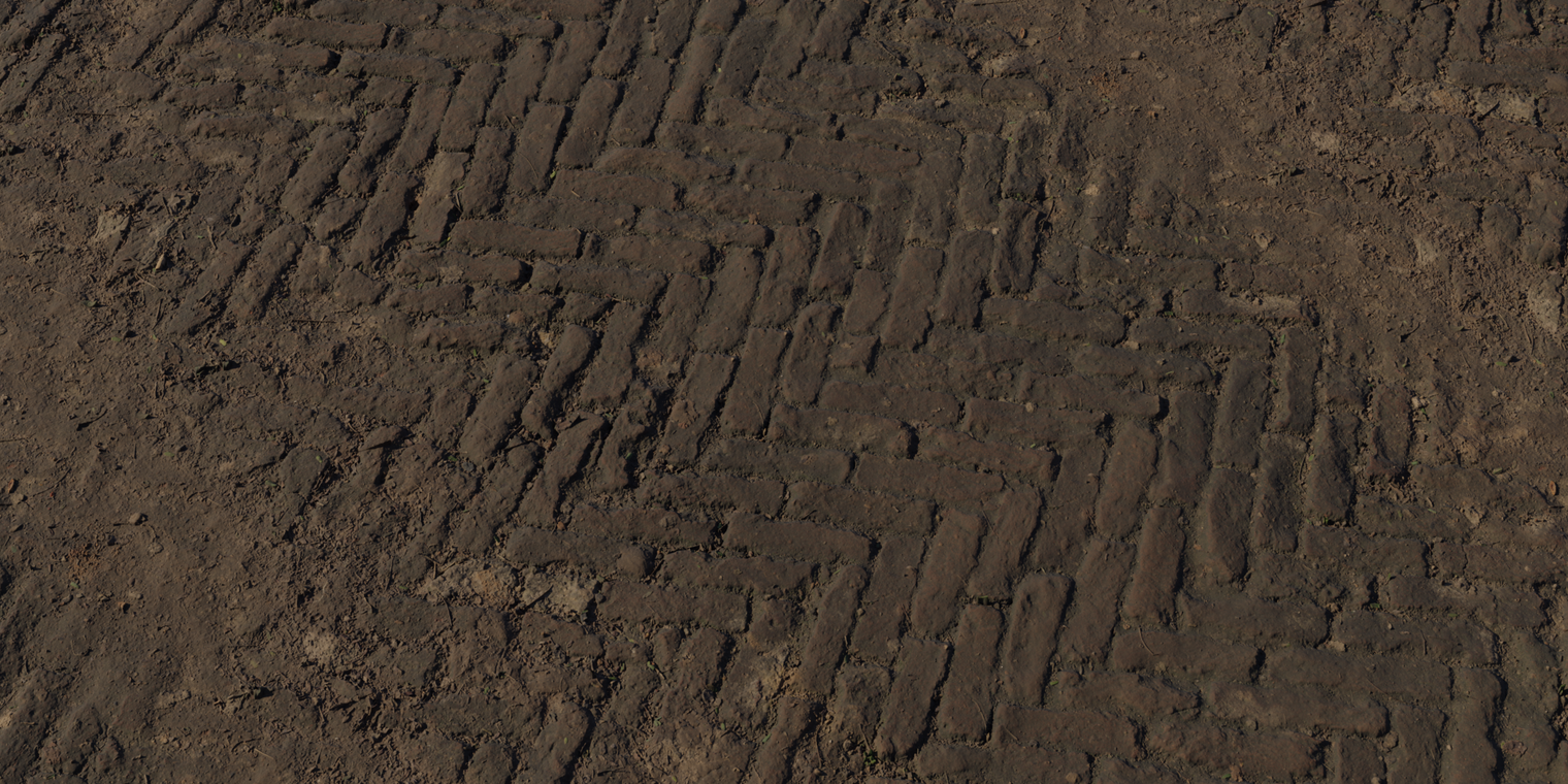 Worn Brick Path