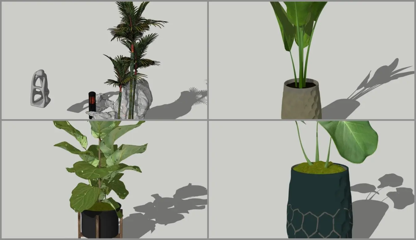 Plant