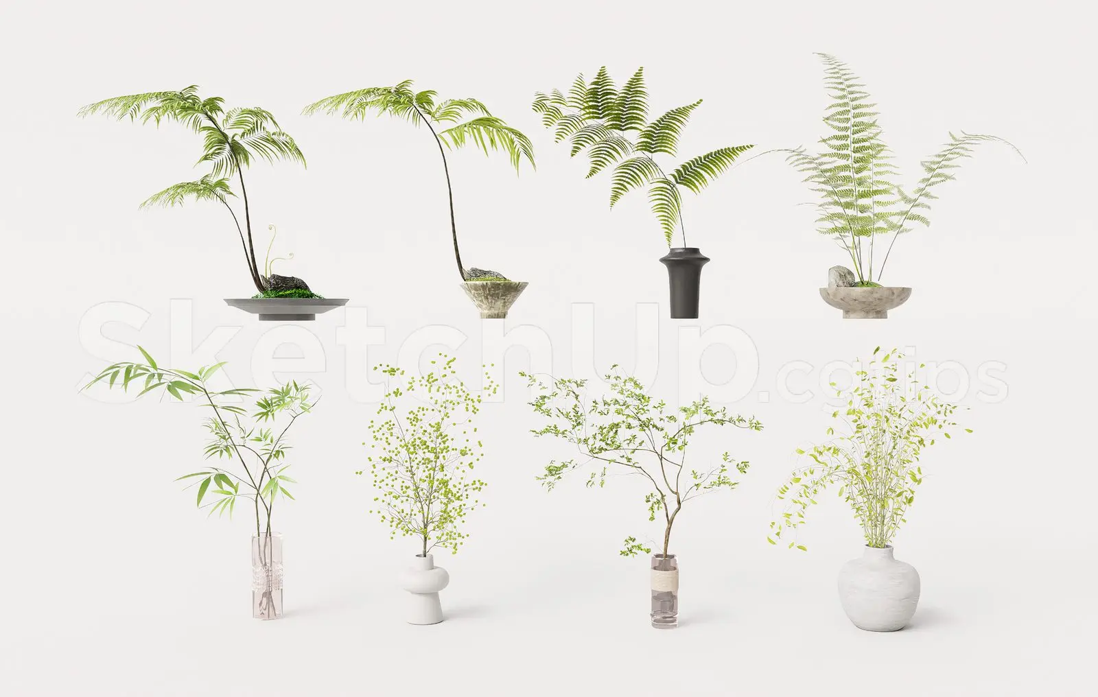 Plant
