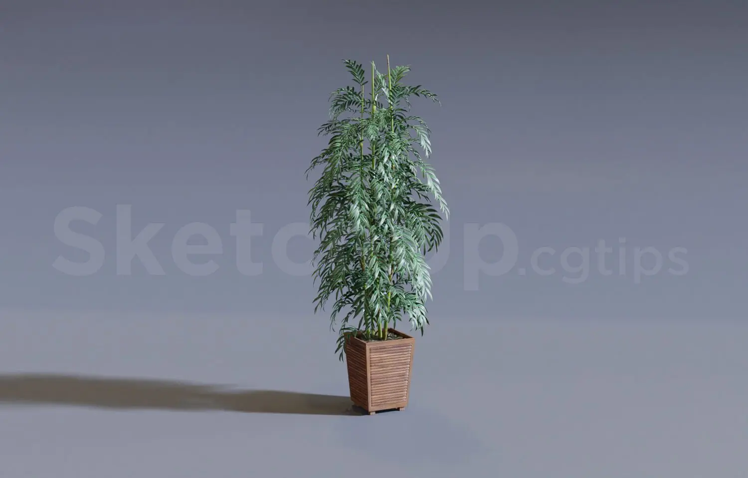 Plant