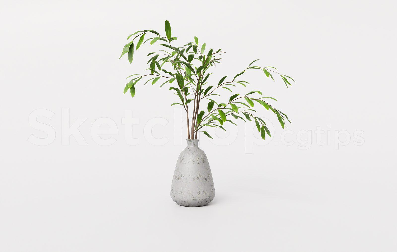 Minimalist Plant in Ceramic Vase SketchUp 3D Model – Decorative Branch