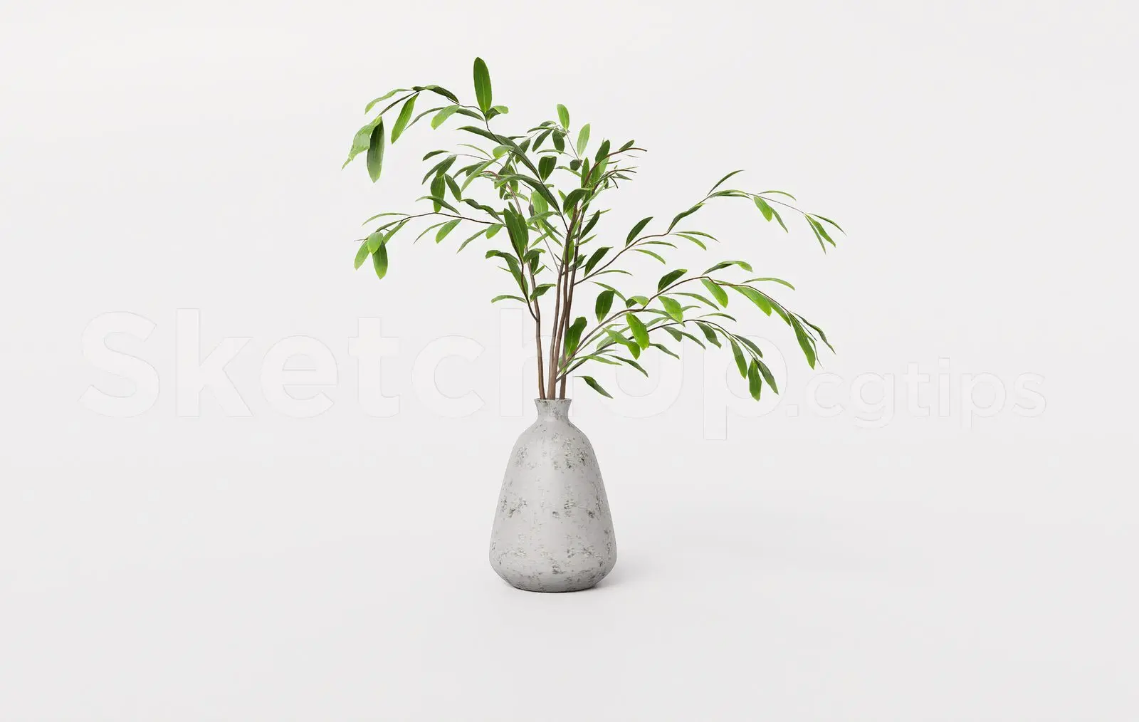 Minimalist Plant in Ceramic Vase SketchUp 3D Model – Decorative Branch