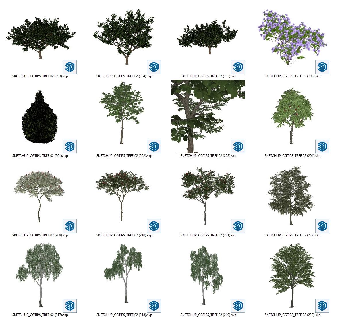 Trees