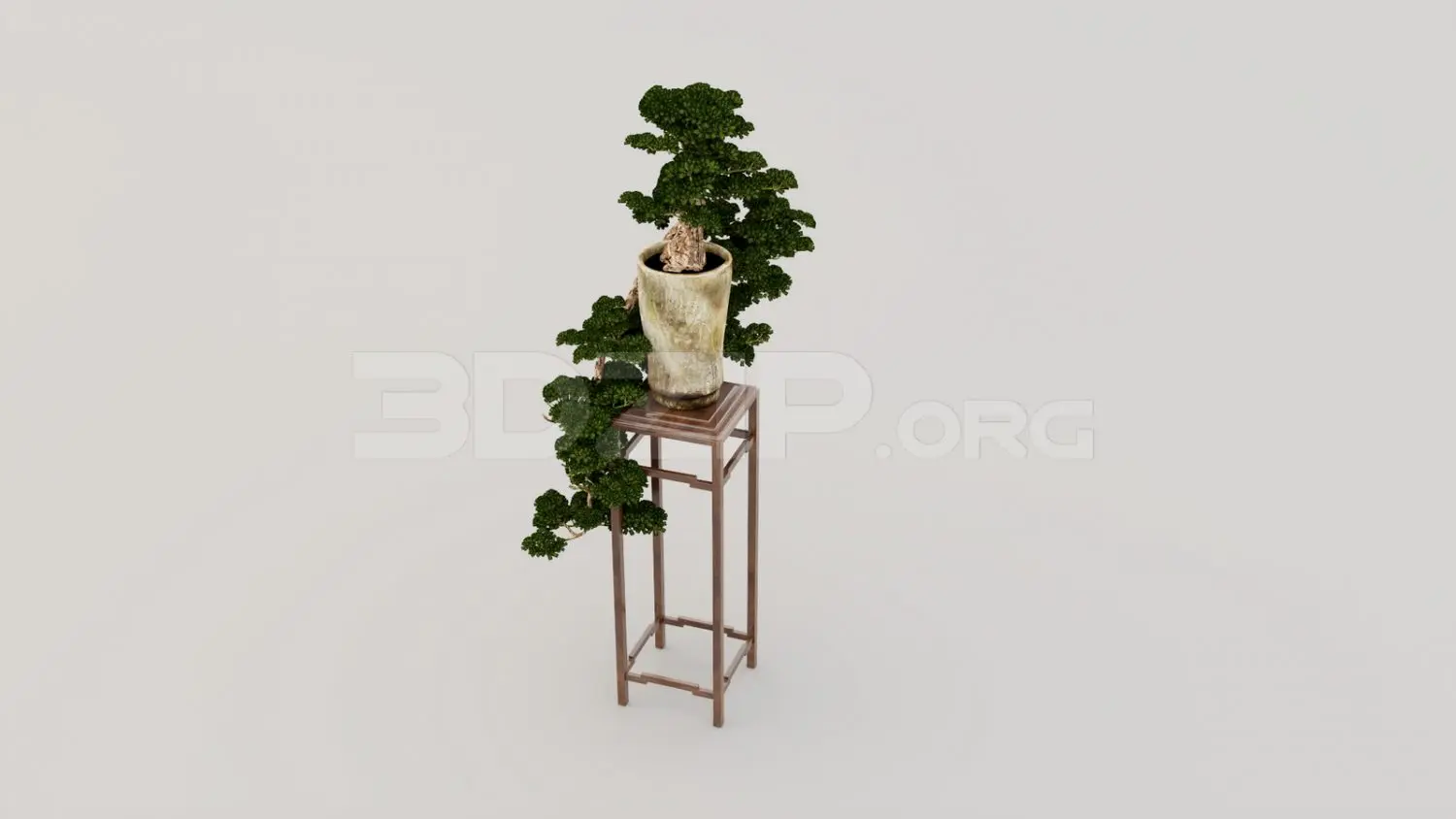 BonSai Tree — preview 1 (3dzip, CC0)