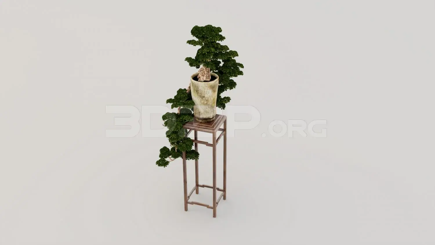 BonSai Tree