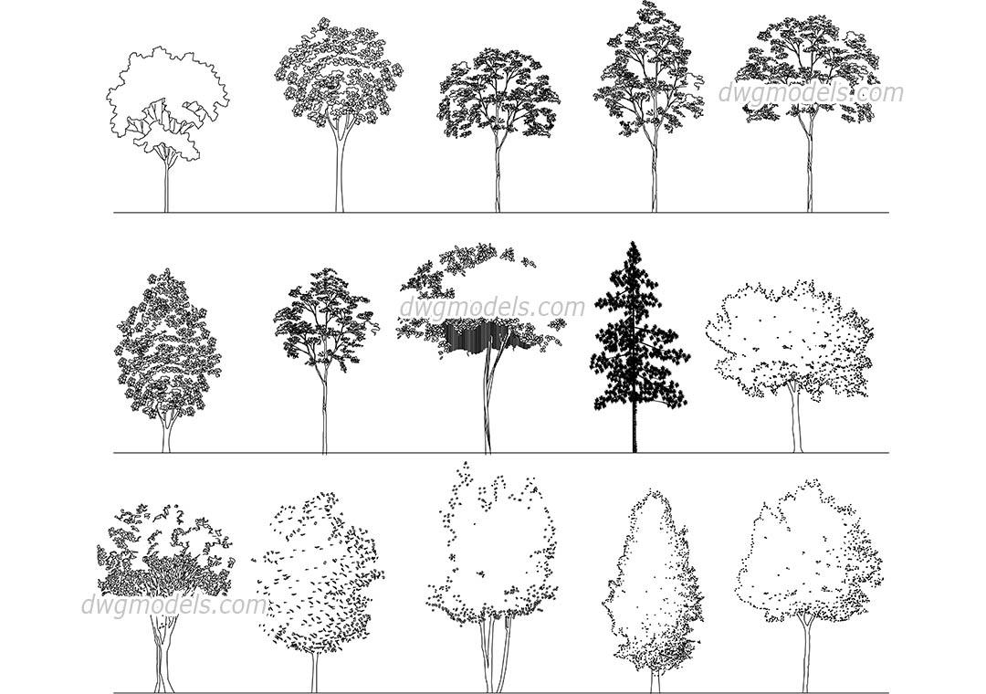 Elevation of Deciduous Trees