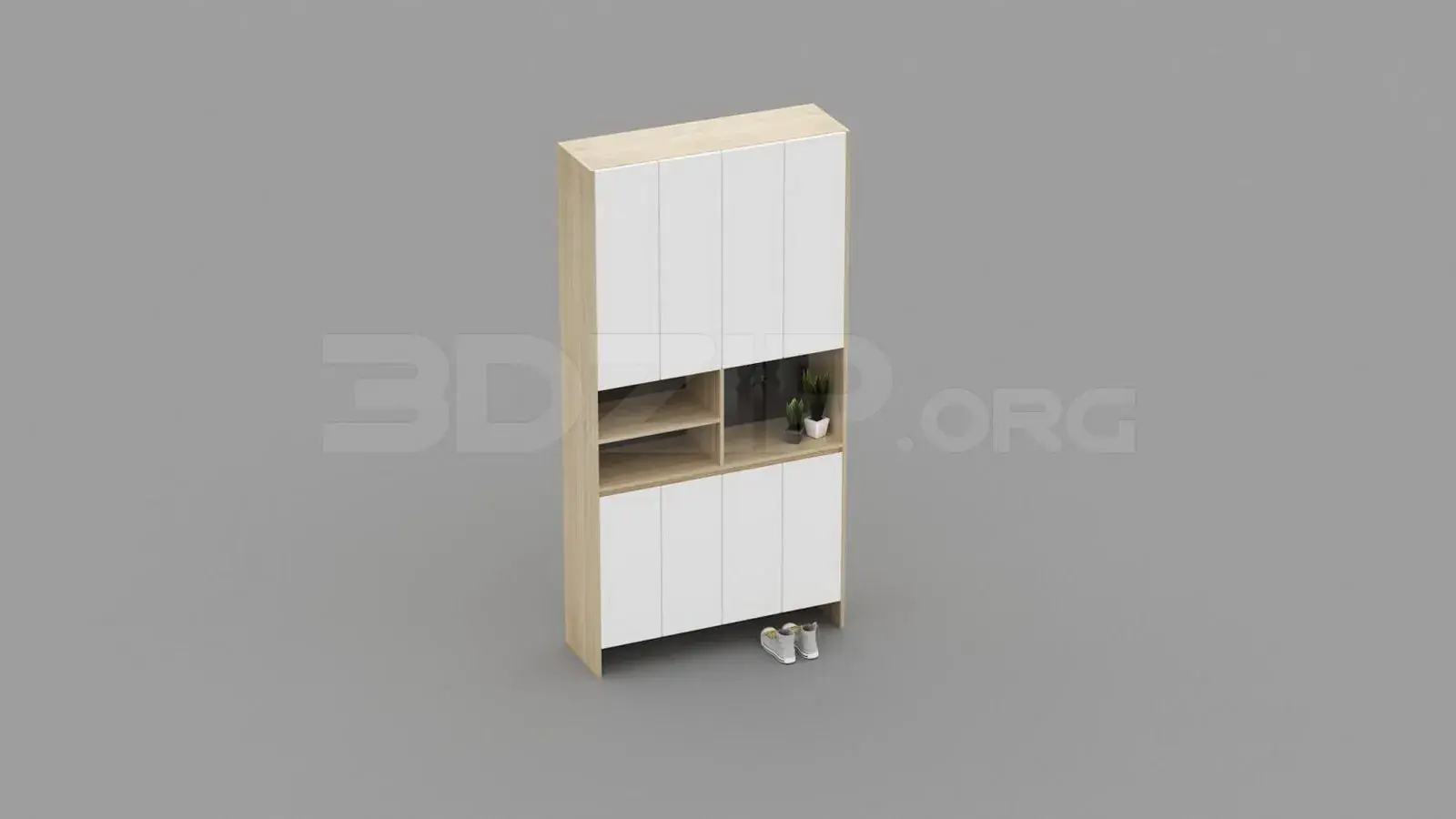 Shoe Cabinet