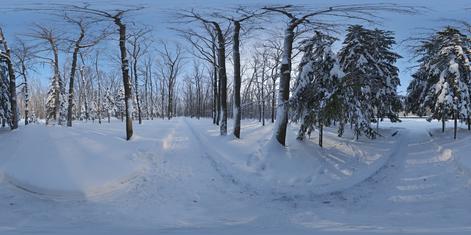 Snowy Forest Path 1