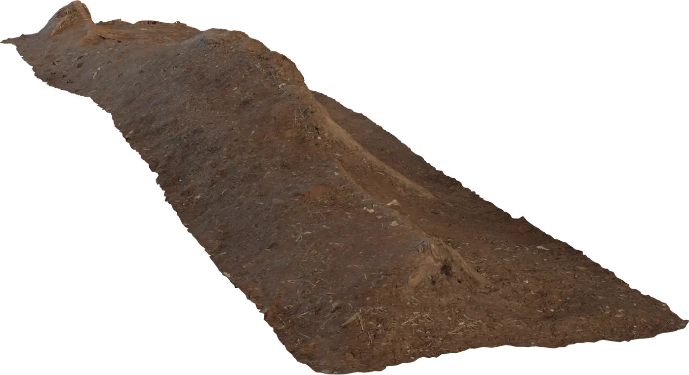 Single Root