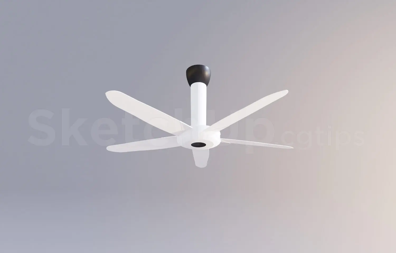 Ceiling Fans