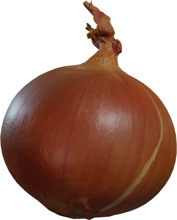 Yellow Onion