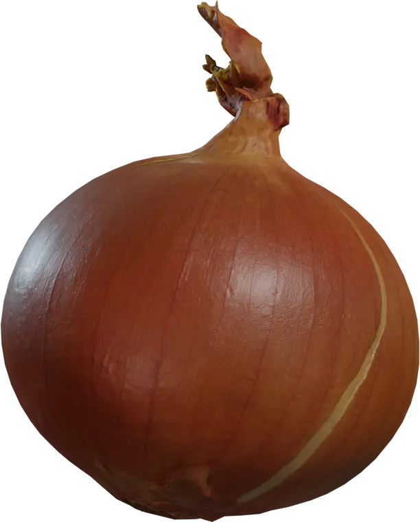 Yellow Onion
