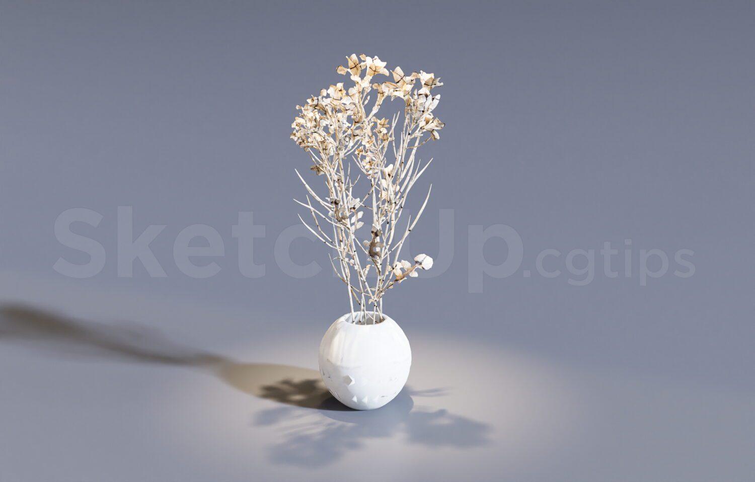 Plant