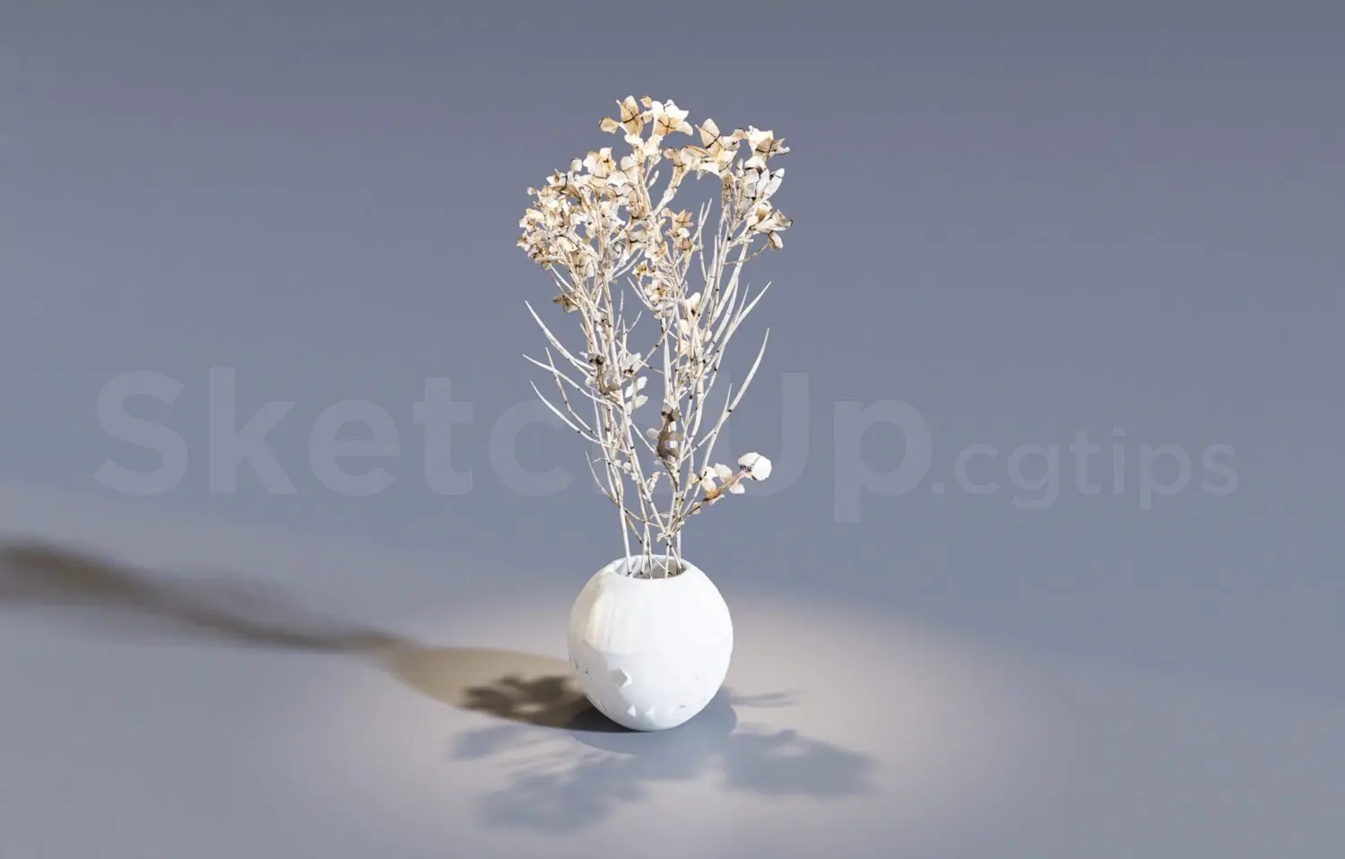 Plant