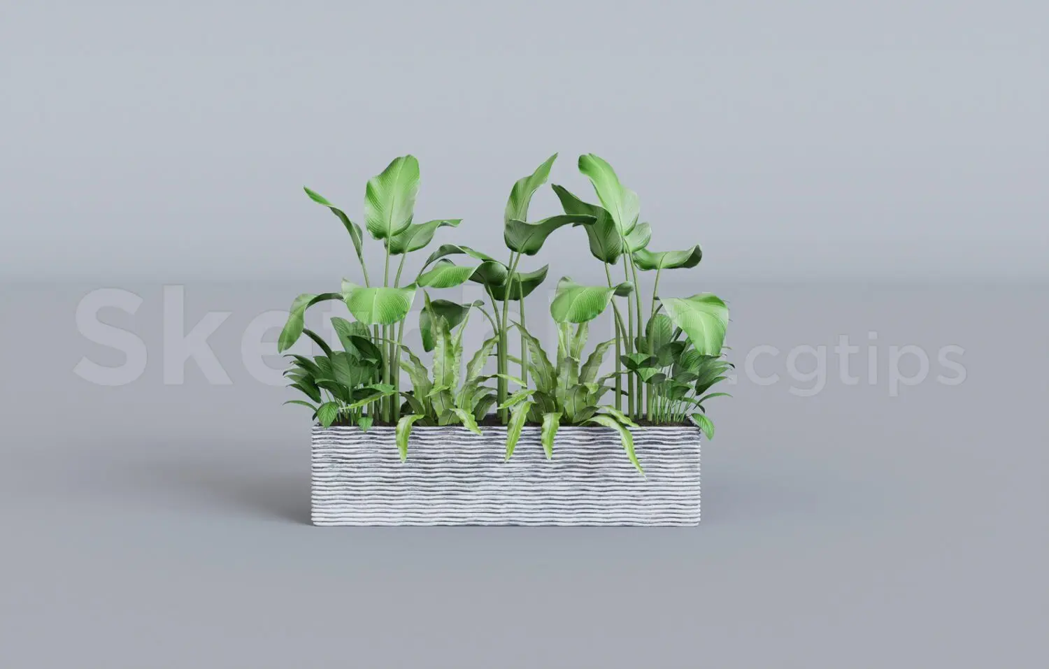 Plant