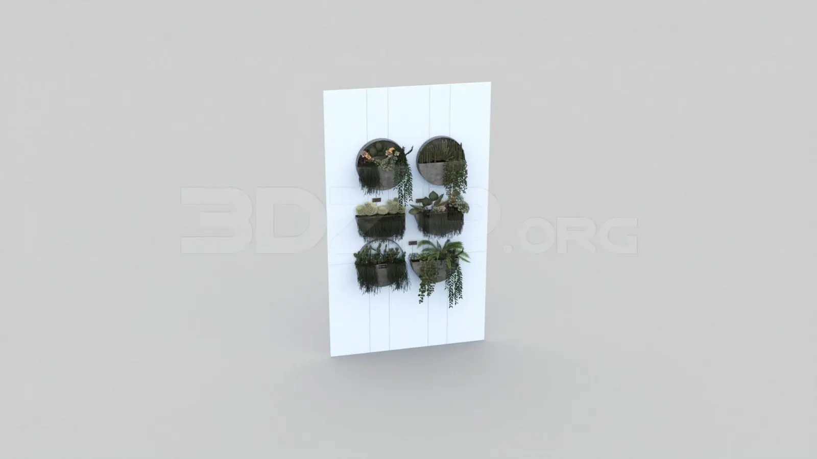 Plant