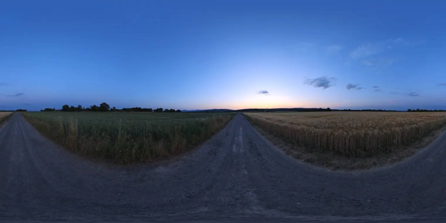 Rural Evening Road