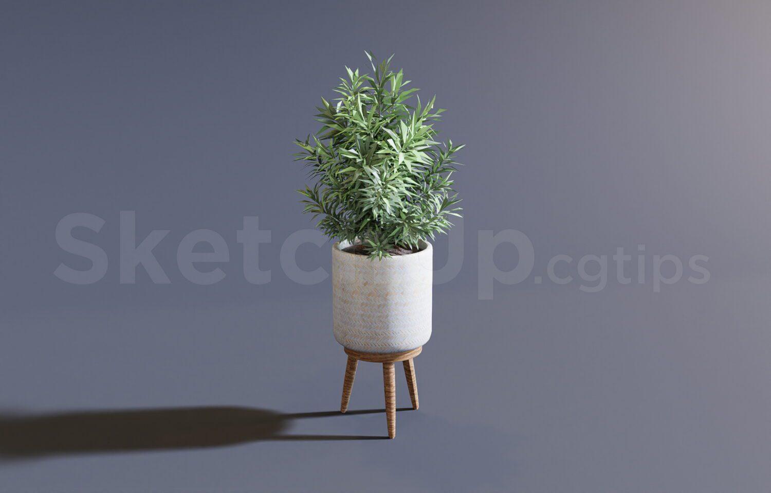 Plant