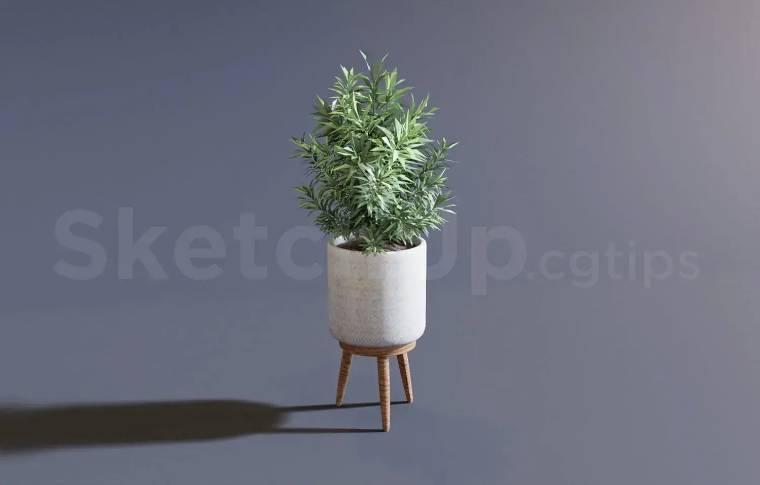Plant
