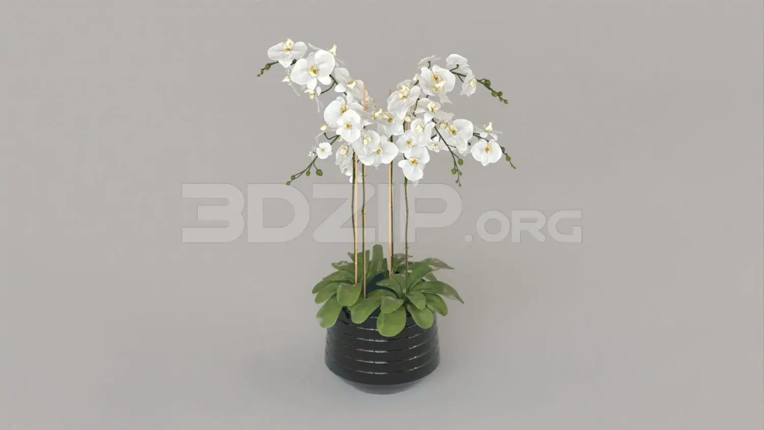 Flower — preview 1 (3dzip, CC0)