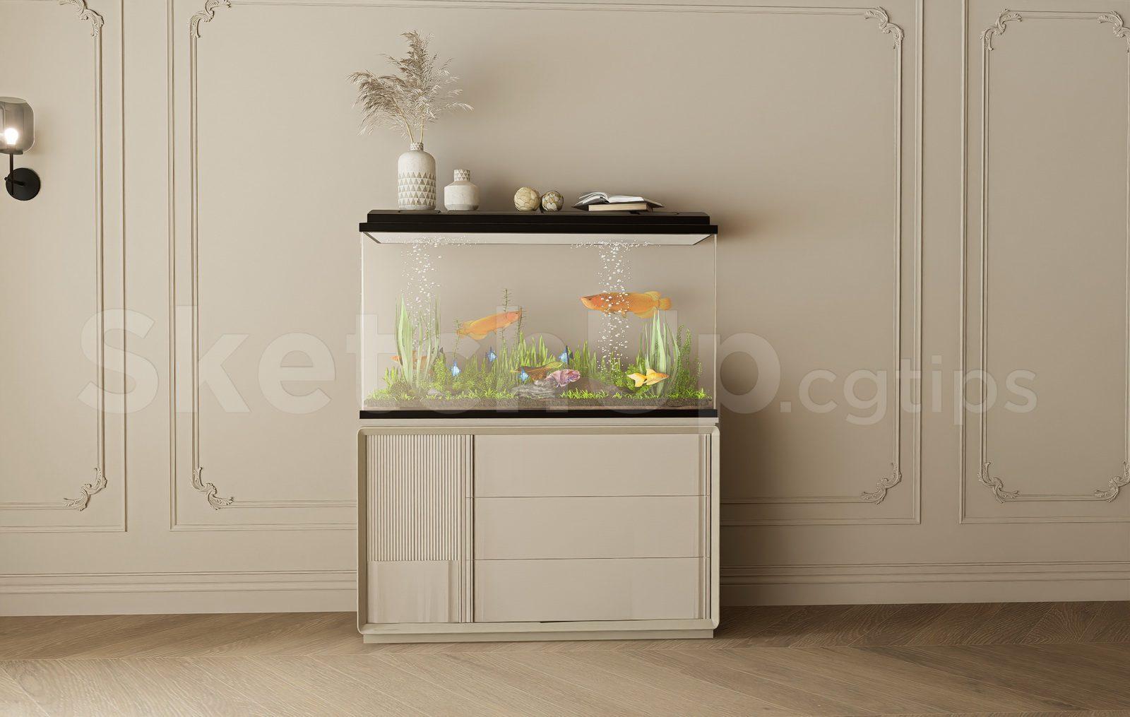 Aquarium Tank