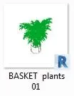 Interior Plant By Siru