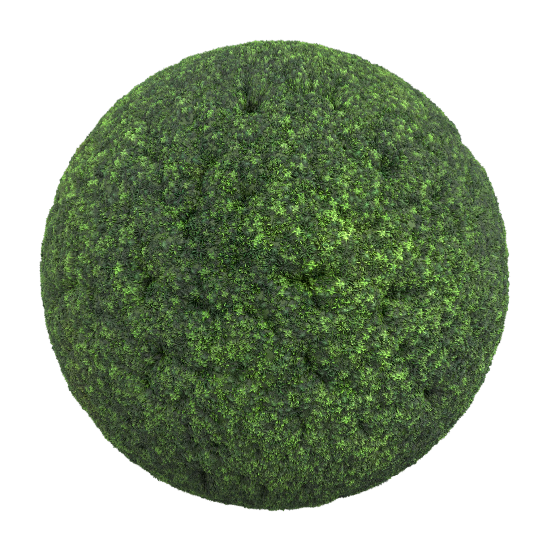 Moss 003