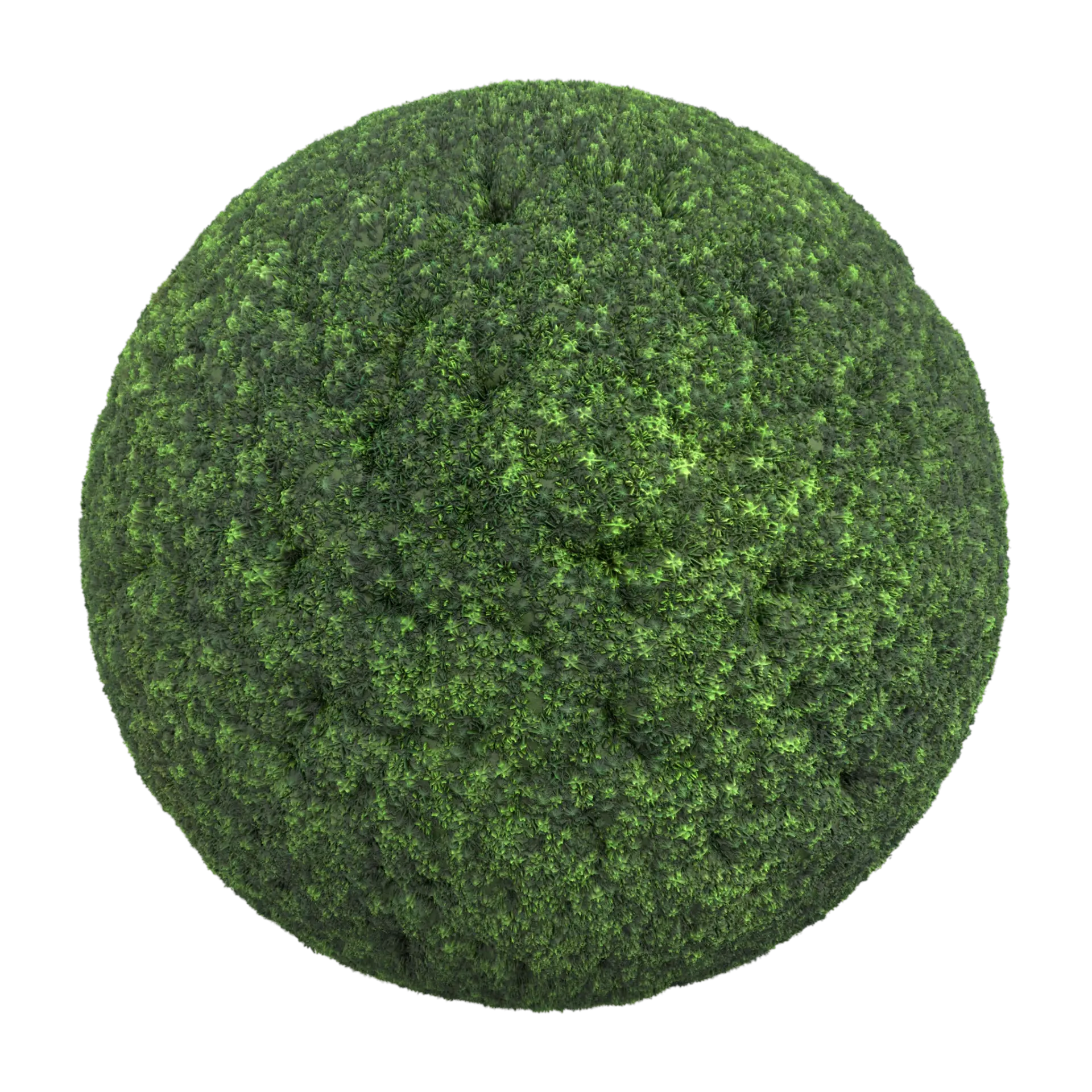 Moss 003