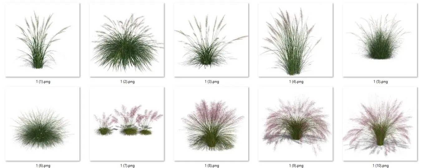 Grass — preview 1 (cgtips)