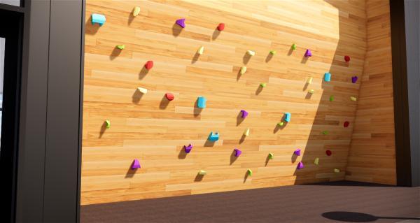 Rock Climbing Hold