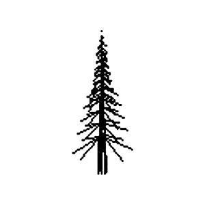 Conifer Base