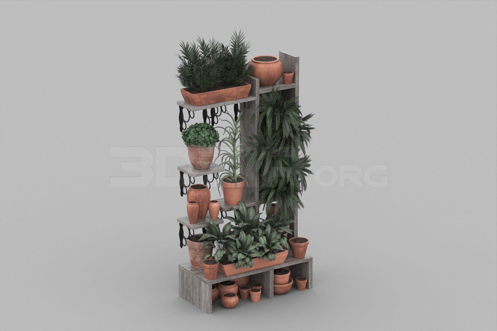 Plant