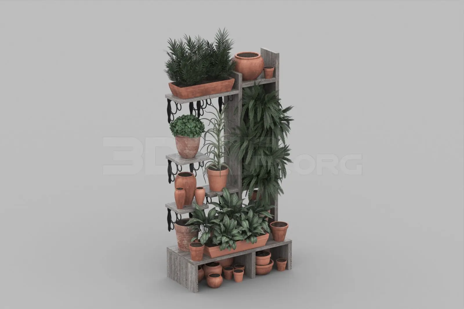 Plant