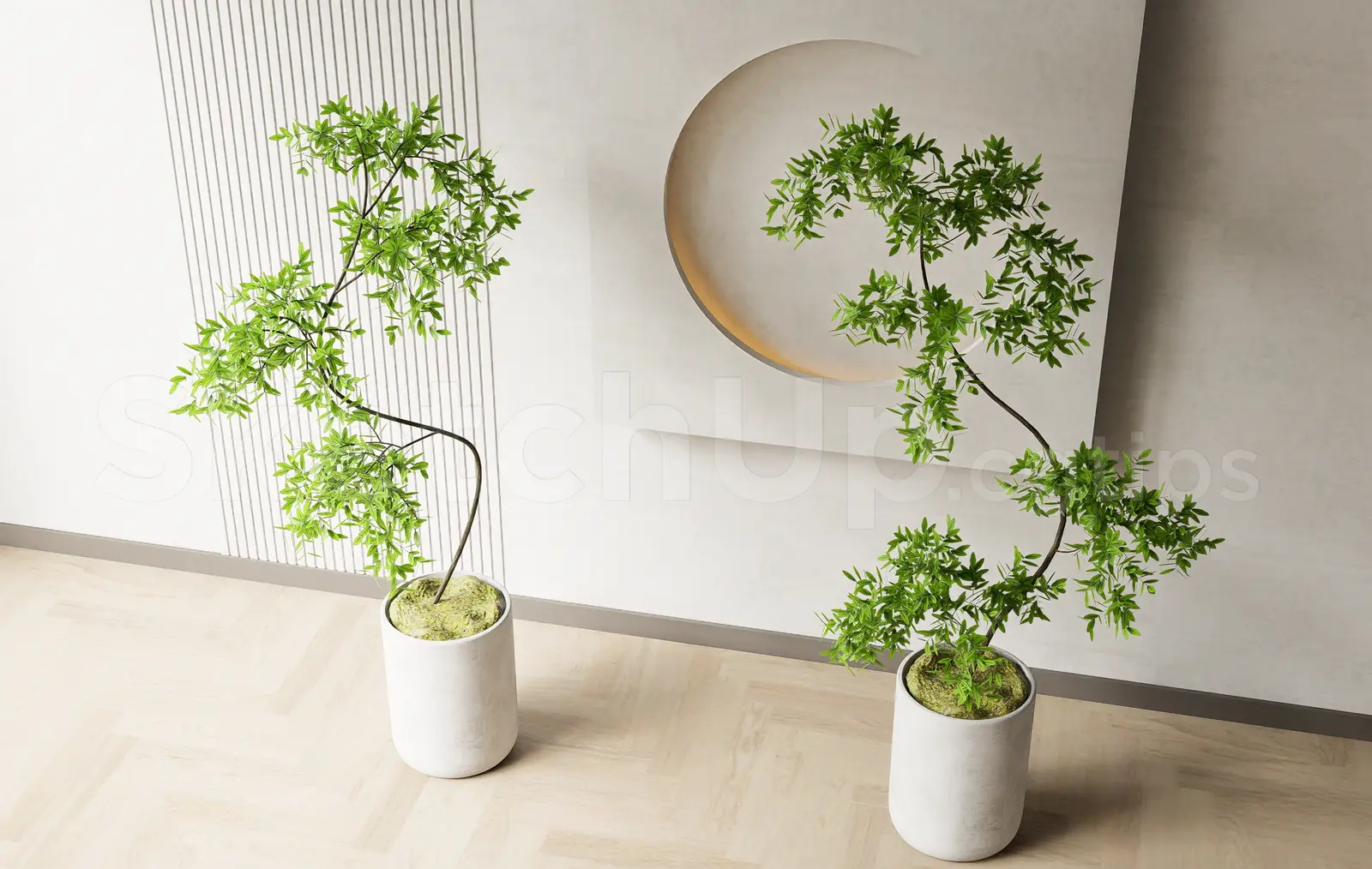 Plant