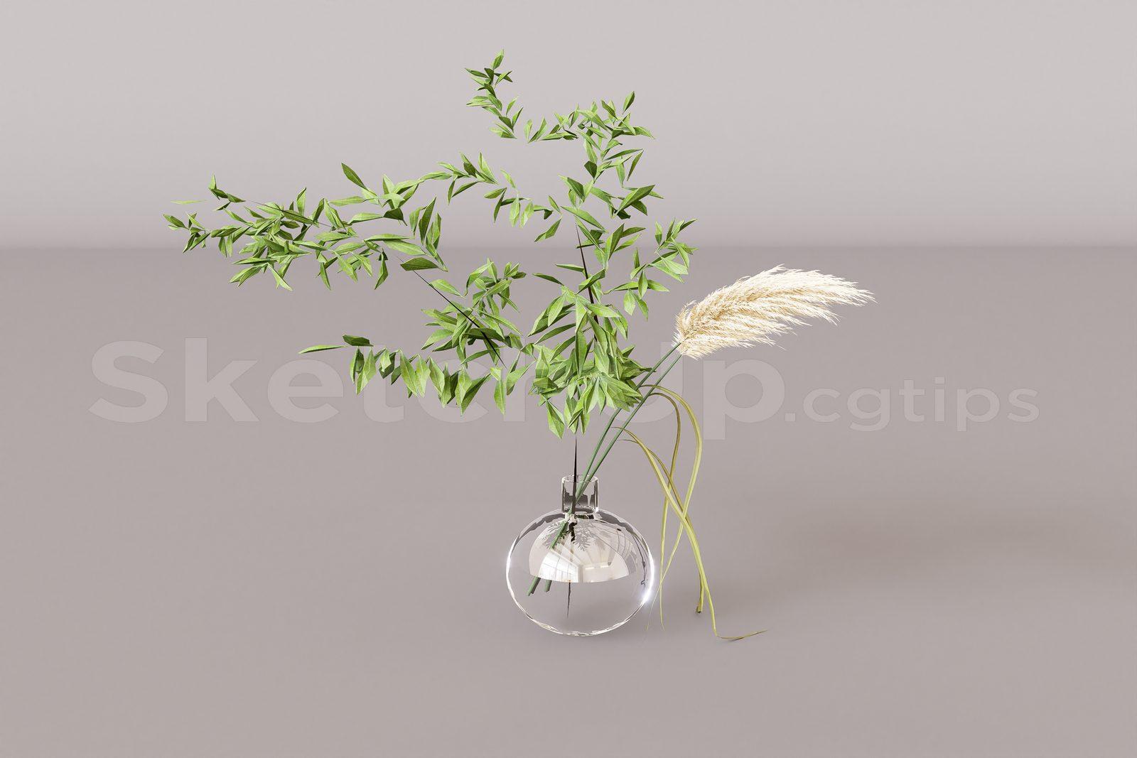 Plant