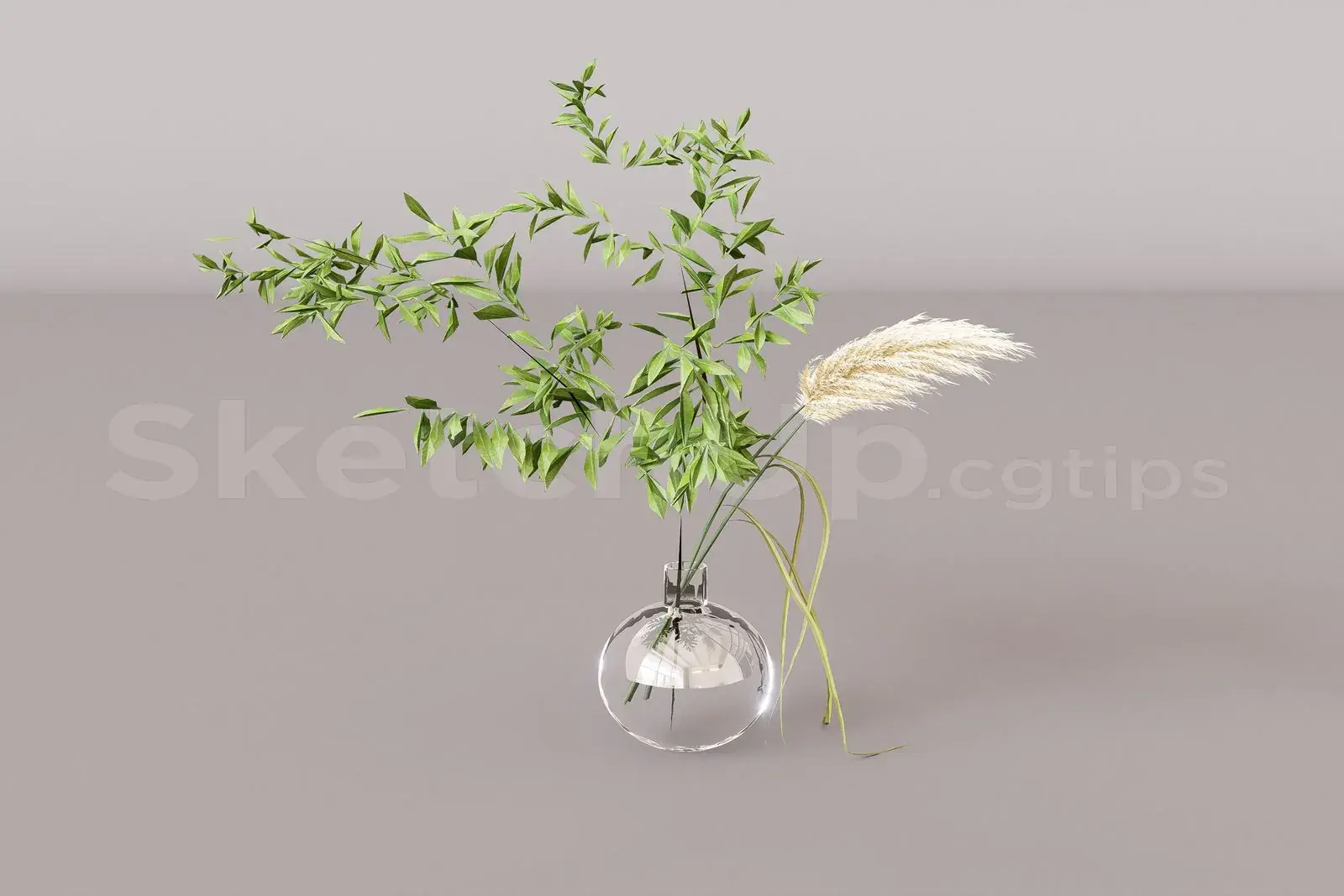 Plant