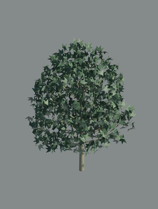 3d Tree A_tree35