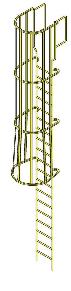Ladder wiit cage