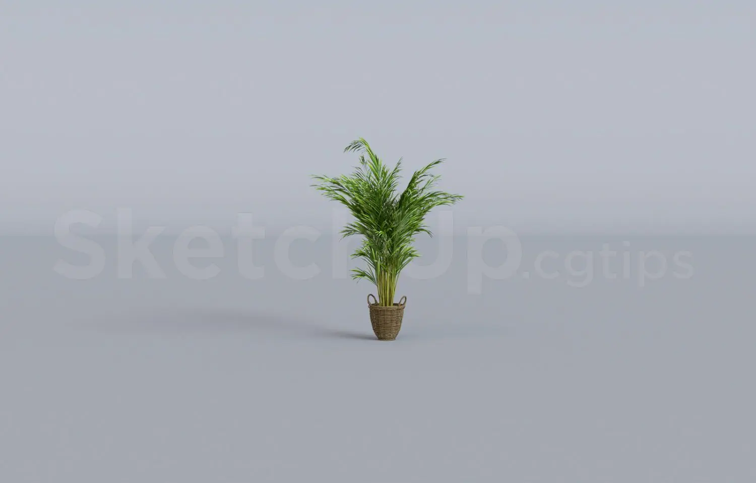 Plant