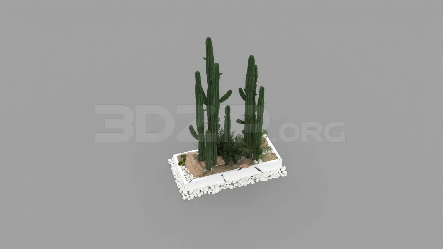 Plant