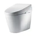Toilet Elongated Contemporary Neorest