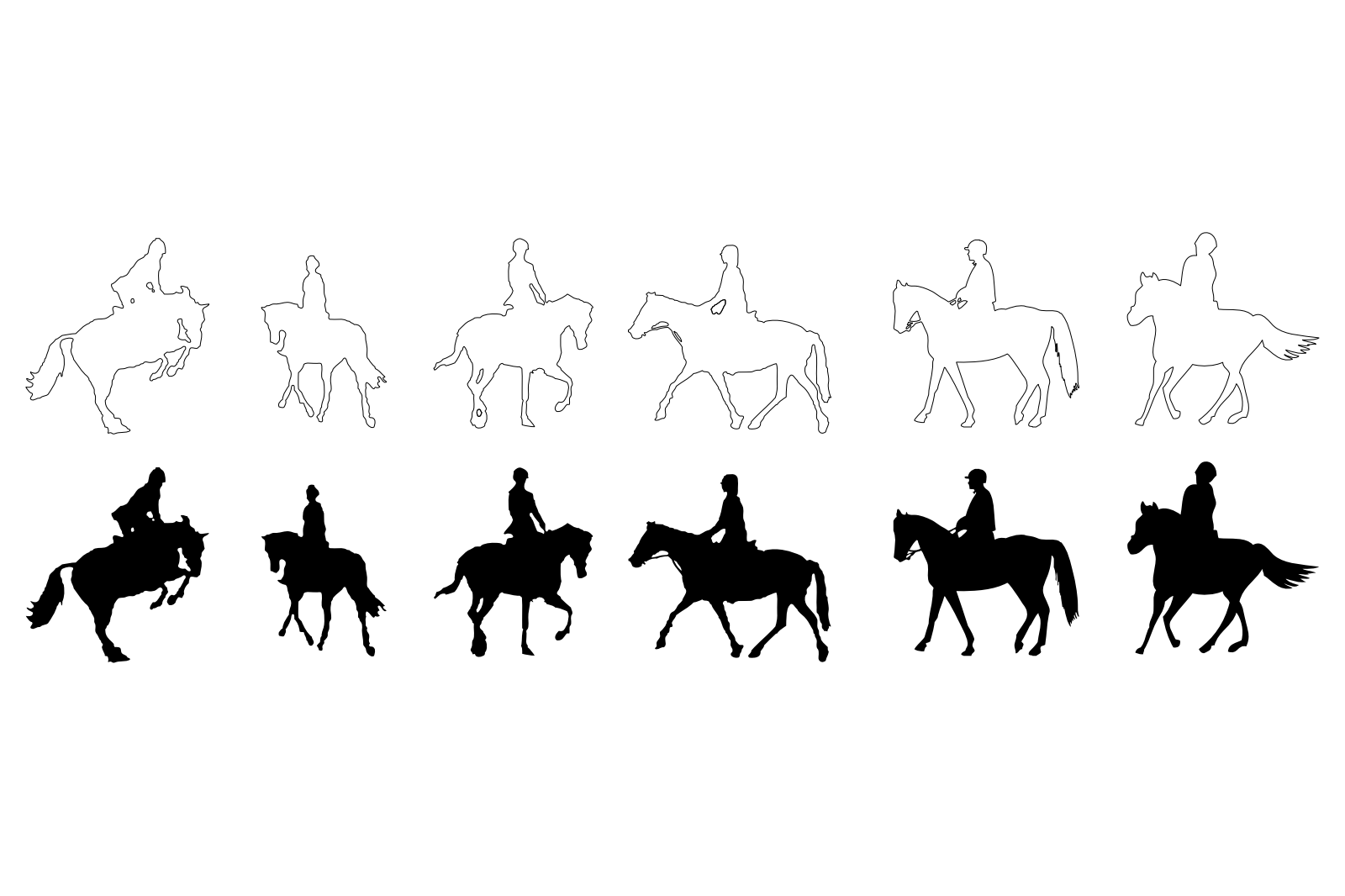 Horse and Rider
