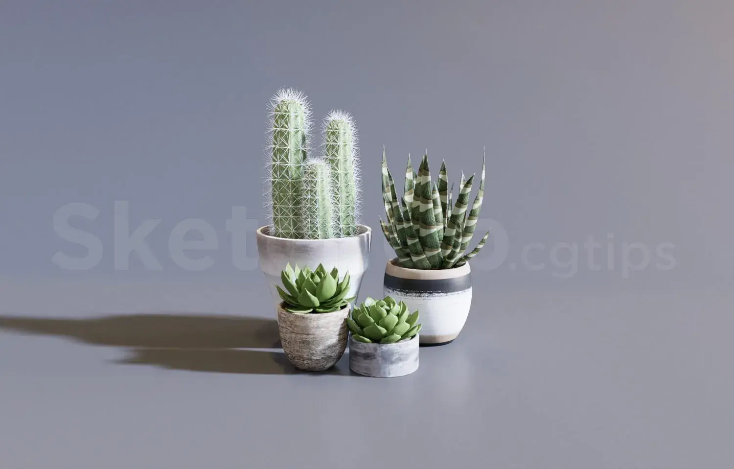 Plant